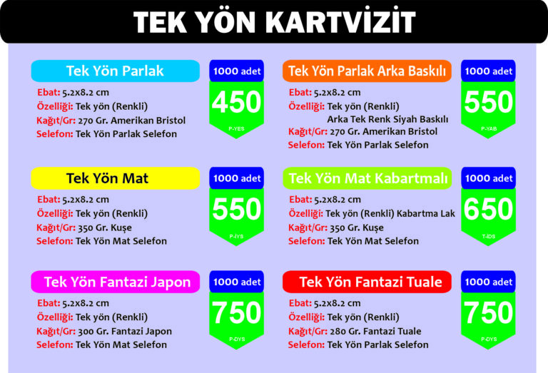 tek yön katvizit
